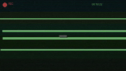 清晨公园散步 - 91视频 日常记录