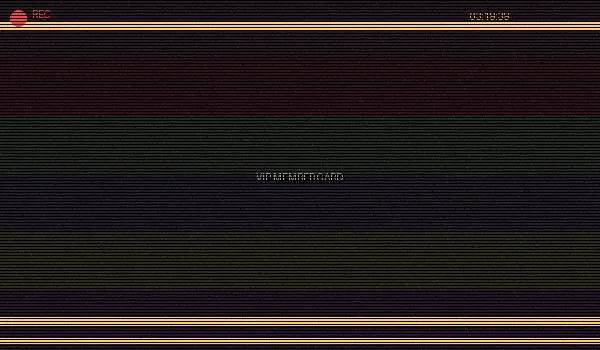 91档案VIP会员卡 - 尊享特权